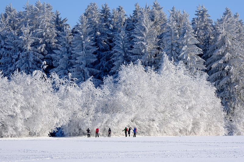 Winter Scene